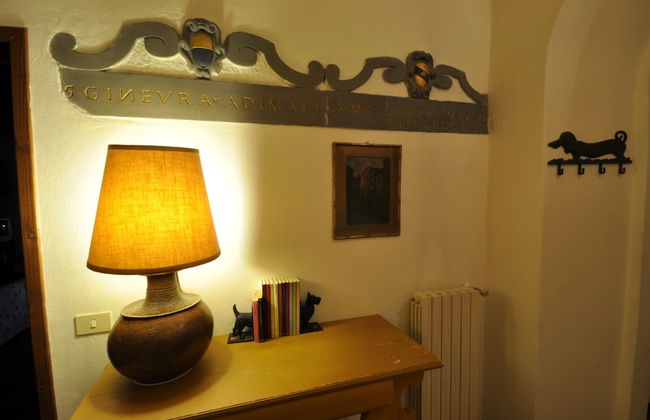 Fattoria di Maiano - Foto 43