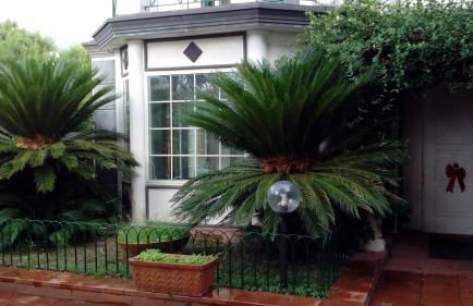 Resort Siranita - Foto 67