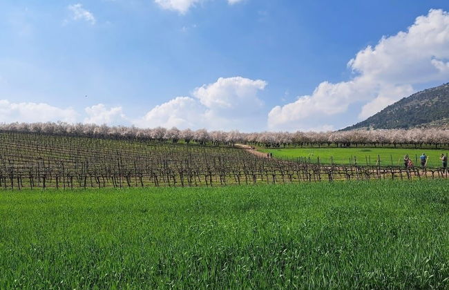 Mount Tabor Home by Sea N' Rent - Foto 51