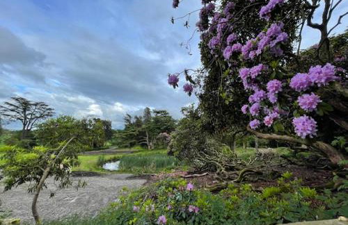 Apartment at Llanerchydol Hall - Foto 18