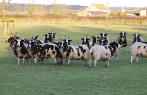 The Old Hayloft - Foto 19