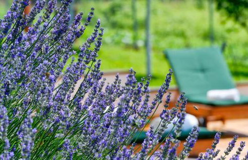 2 Bedroom Amazing Home In Lepoglava - Foto 11