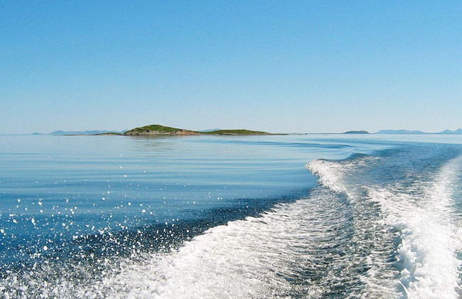 Holiday Home in Arnøyhamn - Foto 12