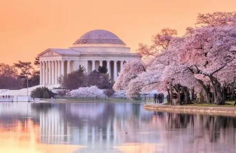 Spacious US Capitol 3BR Apartment with Free Parking - Foto 20