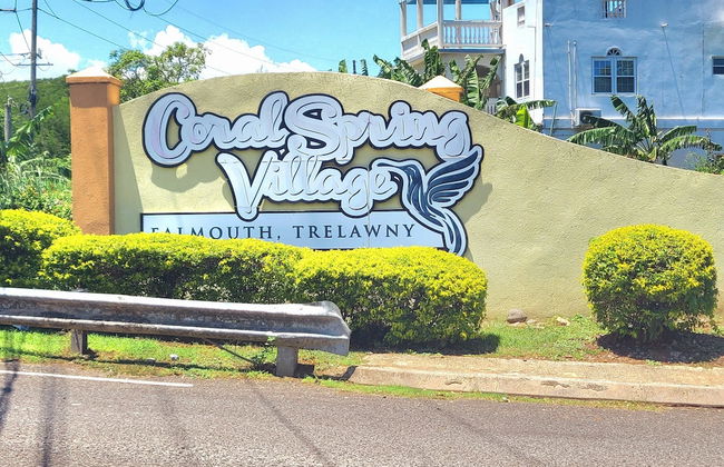 Villa Jamaica - Photo 48