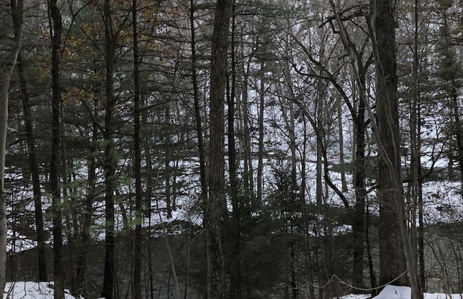 Cabin at Sleepy Creek - Charming Cabin - Foto 10