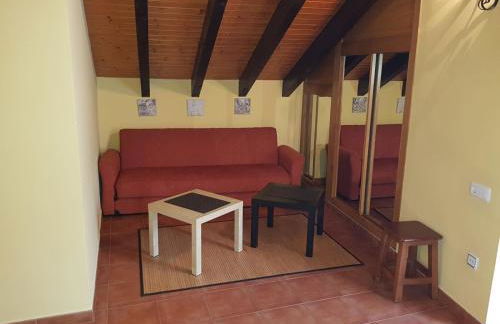 nueva el bosquin - Foto 13