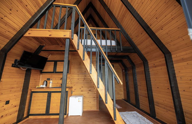 Roseira Bungalov - Photo 3