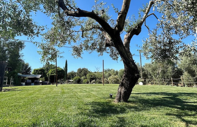 Agriturismo La Quercia - Wine&Pool - Foto 119