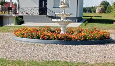 Domki na Wzgórzu - Rospuda - Foto 2, Garden view