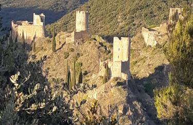 Maison DELMAS, l'Oustal du Recantu - Foto 56