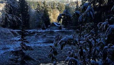 Pet-Friendly Cabin Rental Overlooking a River near Skykomish, Washington - Foto 2