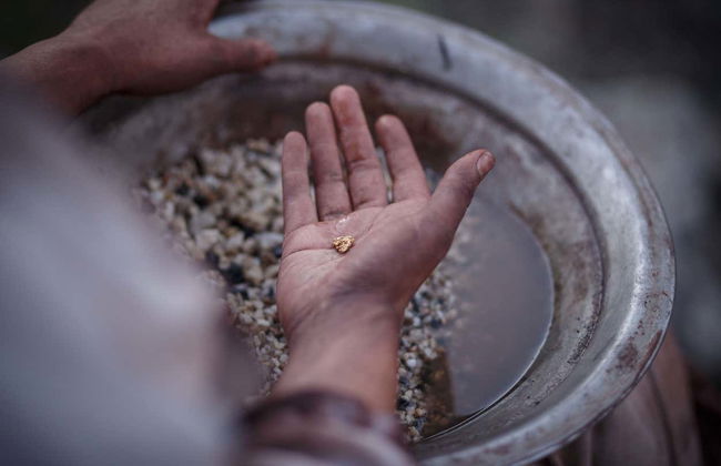 Sovereign Hill, Botanical Gardens & Melbourne Skydeck Tour - Foto 14