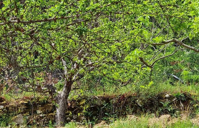 Quinta de Leandres - Foto 44