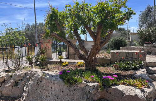 Villetta DaGré fronte mare - Foto 3