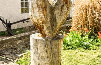 am Hohlebach - Foto 20