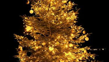 HAPPY DAYS Fehmarn - Foto 4