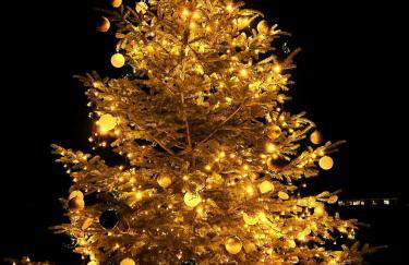 HAPPY DAYS Fehmarn - Foto 4