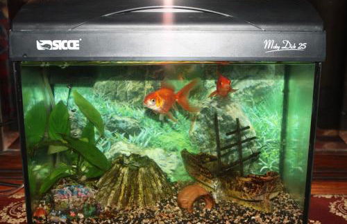 Agriturismo Villa Guarnaschelli - Foto 60