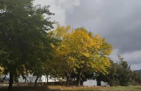 El Vergel de Pitres - Foto 37