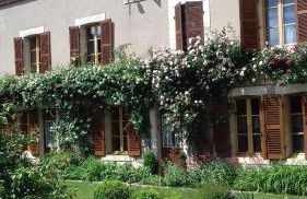 L'atypique du buisson de la gariole - Foto 78