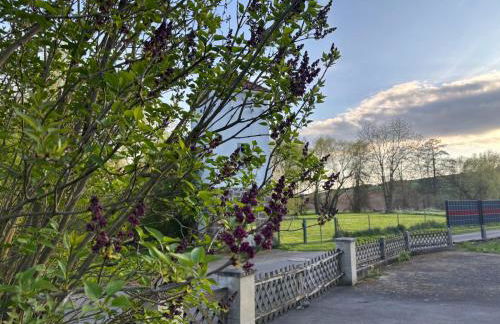 Casa Cittadella Ferienwohnung Mimi - Foto 15