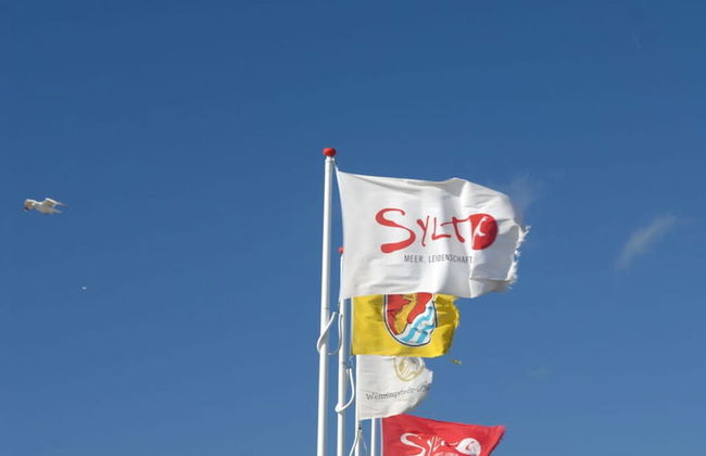 D Wilting in the House - Foto 10