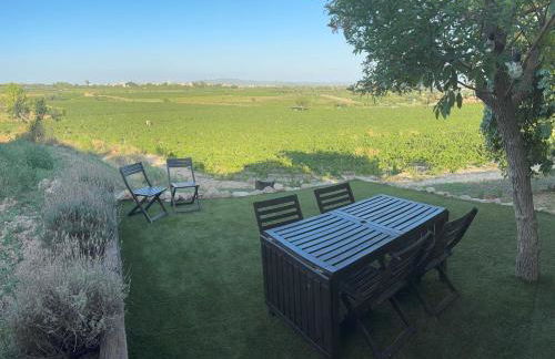 Cabernet Rural - Foto 13