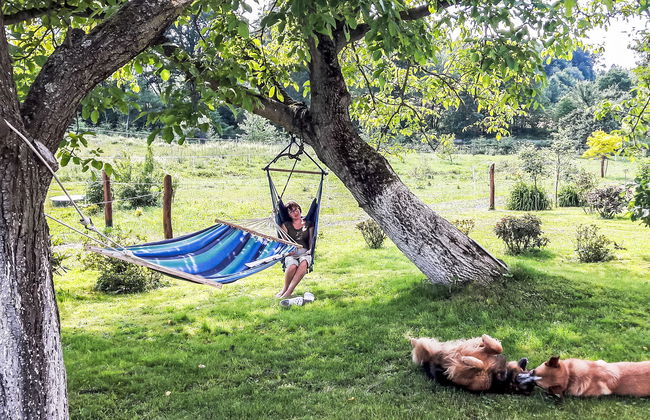 2 bedroom House in Lubomierz with private pool and garden - Photo 19