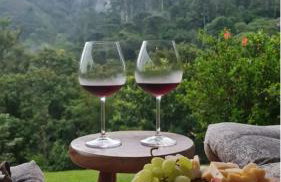 Casa de campos são Francisco Xavier Xavier - Foto 66