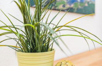 Skerra Apartments "am Fitness-Studio" - Foto 26