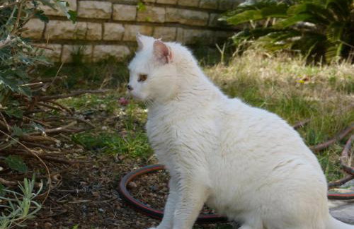 Apartmani Milena - Foto 61