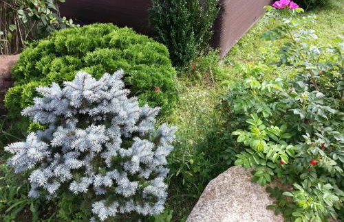 Cztery Pory Warmii Pluski pokoje do wynajęcia - Foto 76