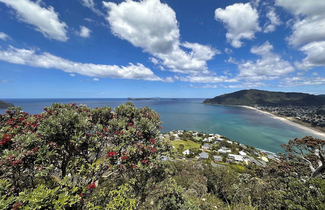 Tairua Treasure - Foto 18