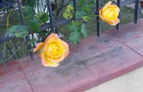 Holiday Home Villa Relax - Foto 17