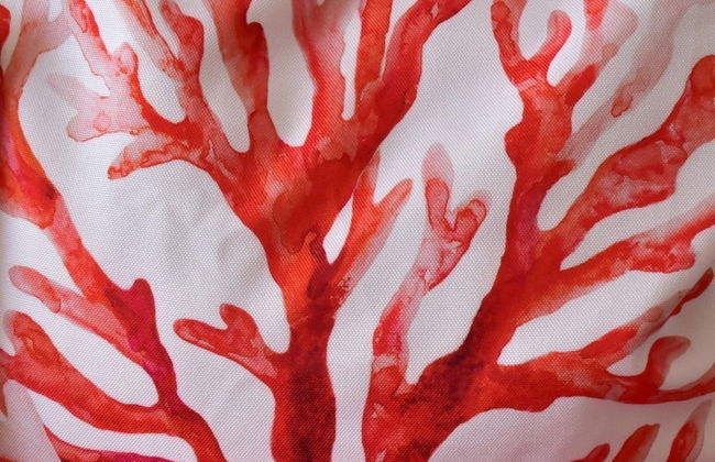 1 Bed Chalet - Sleeps 4 - Pets, Parking, Wifi - Foto 10