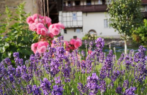 Altes Standesamt Weißensee - Foto 7