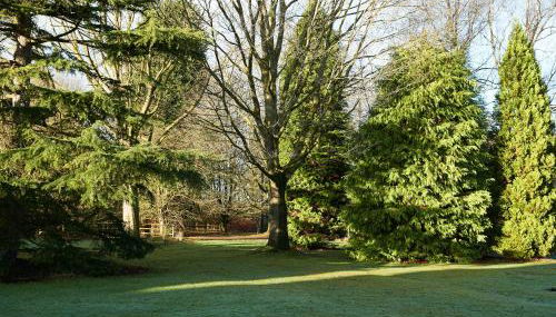 Chapel house - Foto 3, Garden