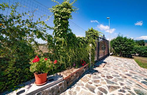 Casa sull'albero Bocchineri - Photo 22