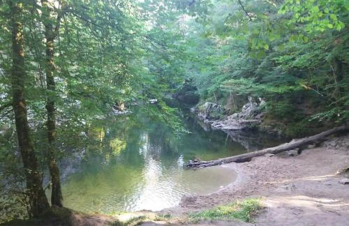 RELAX CHALET Nature Retreat - isolé sur 3 hectares - confort de LUXE - maison entière 150m2 - près de La Bresse - Foto 59