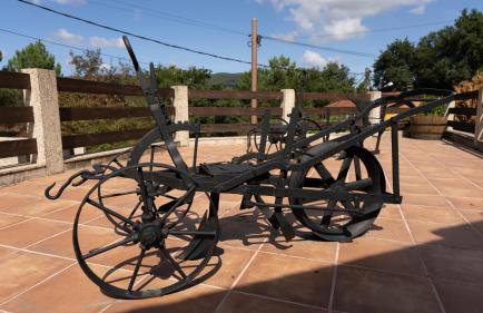 Lar de Sefa 15 - Foto 5