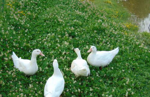 Agriturismo Circugnano - Foto 19