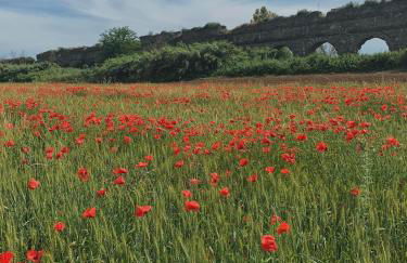 RomAmourHouse - Foto 42