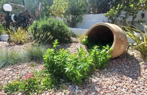 Villa Mare Nostrum Sounio - Foto 28