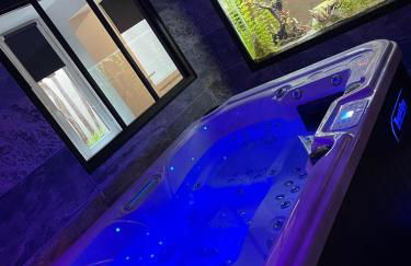 Nuit de la sagesse "jacuzzi terrasse et parking privé" - Foto 8