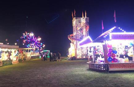 Poppy at Oakdene Forest Park - Foto 22