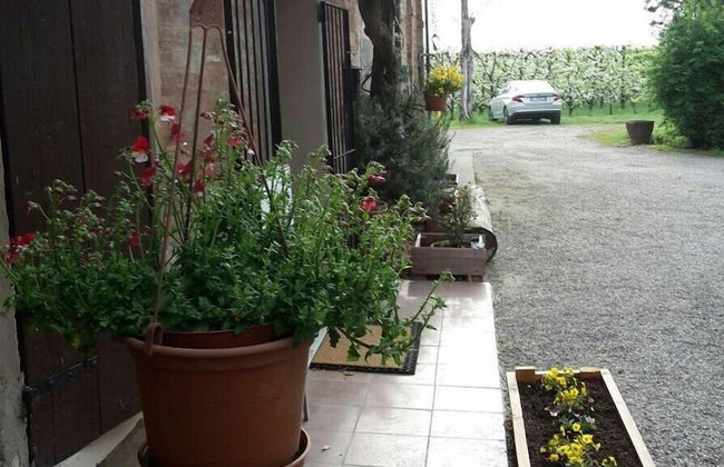 Agriturismo Dosso al Porto - Foto 45