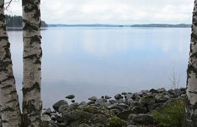 Mäntyniemi - Foto 17