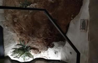 Alvarado Loft Rural - Foto 20