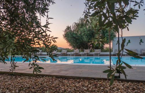 Armandiola - Foto 15